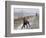 DEU SN Wetter-Matthias Rietschel-Framed Photographic Print