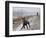 DEU SN Wetter-Matthias Rietschel-Framed Photographic Print