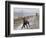 DEU SN Wetter-Matthias Rietschel-Framed Photographic Print