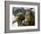 Deu Zoo Berlin-null-Framed Photographic Print