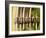 Deutschland, Niederbayern, Landshut, Stadtfriedhof, Romanisches Portal, Detail , Bayern-Thonig-Framed Photographic Print