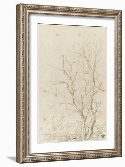 Deux branches d'arbres nues émérgeant d'un feuillage-Pierre Henri de Valenciennes-Framed Giclee Print