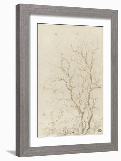 Deux branches d'arbres nues émérgeant d'un feuillage-Pierre Henri de Valenciennes-Framed Giclee Print