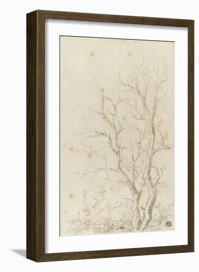 Deux branches d'arbres nues émérgeant d'un feuillage-Pierre Henri de Valenciennes-Framed Giclee Print