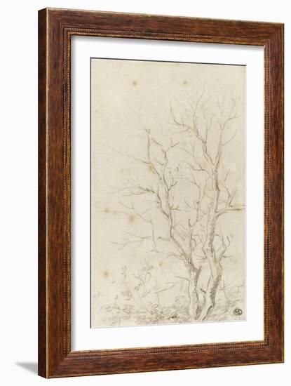 Deux branches d'arbres nues émérgeant d'un feuillage-Pierre Henri de Valenciennes-Framed Giclee Print