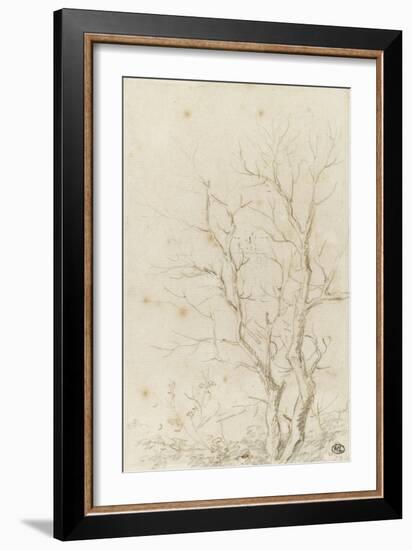 Deux branches d'arbres nues émérgeant d'un feuillage-Pierre Henri de Valenciennes-Framed Giclee Print