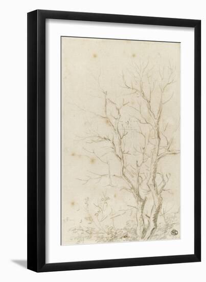 Deux branches d'arbres nues émérgeant d'un feuillage-Pierre Henri de Valenciennes-Framed Giclee Print