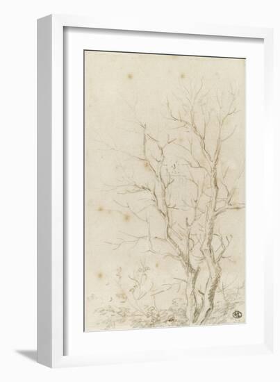 Deux branches d'arbres nues émérgeant d'un feuillage-Pierre Henri de Valenciennes-Framed Giclee Print