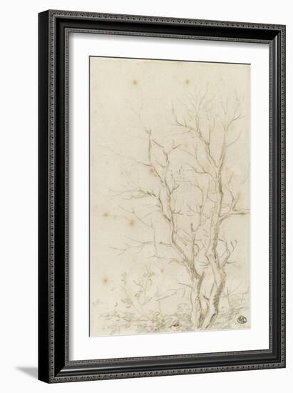 Deux branches d'arbres nues émérgeant d'un feuillage-Pierre Henri de Valenciennes-Framed Giclee Print