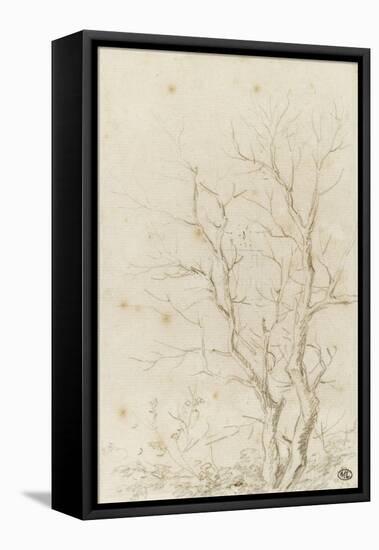 Deux branches d'arbres nues émérgeant d'un feuillage-Pierre Henri de Valenciennes-Framed Premier Image Canvas