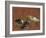 Deux canards et une aigrette garzette-Pieter Boel-Framed Giclee Print