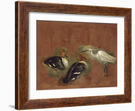 Deux canards et une aigrette garzette-Pieter Boel-Framed Giclee Print