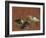 Deux canards et une aigrette garzette-Pieter Boel-Framed Giclee Print