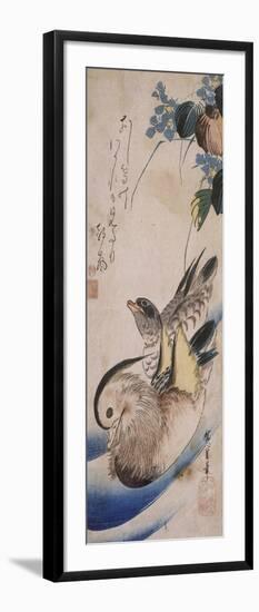 Deux canards nageant-Ando Hiroshige-Framed Giclee Print