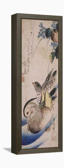 Deux canards nageant-Ando Hiroshige-Framed Premier Image Canvas