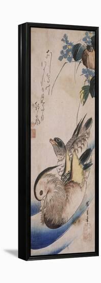 Deux canards nageant-Ando Hiroshige-Framed Premier Image Canvas