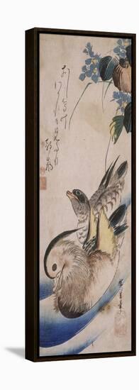 Deux canards nageant-Ando Hiroshige-Framed Premier Image Canvas