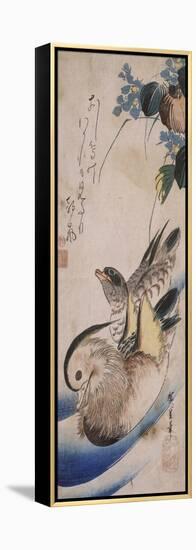 Deux canards nageant-Ando Hiroshige-Framed Premier Image Canvas