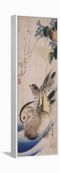 Deux canards nageant-Ando Hiroshige-Framed Premier Image Canvas