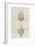 Deux chandeliers-Charles Le Brun-Framed Giclee Print