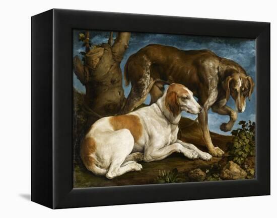 Deux chiens de chasse attachés à une souche-Jacopo Bassano-Framed Premier Image Canvas