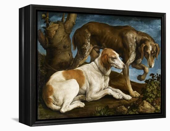 Deux chiens de chasse attachés à une souche-Jacopo Bassano-Framed Premier Image Canvas