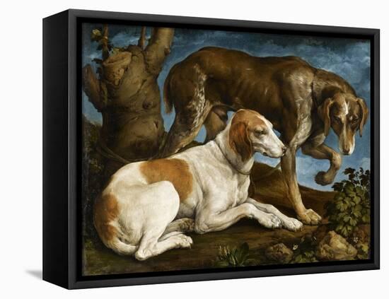 Deux chiens de chasse attachés à une souche-Jacopo Bassano-Framed Premier Image Canvas
