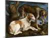 Deux chiens de chasse attachés à une souche-Jacopo Bassano-Mounted Giclee Print