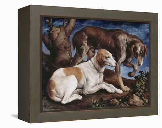 Deux chiens de chasse attachés à une souche-Jacopo Bassano-Framed Premier Image Canvas