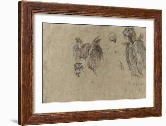 Deux études de vautour et deux détails-Pieter Boel-Framed Giclee Print