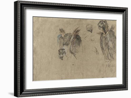 Deux études de vautour et deux détails-Pieter Boel-Framed Giclee Print