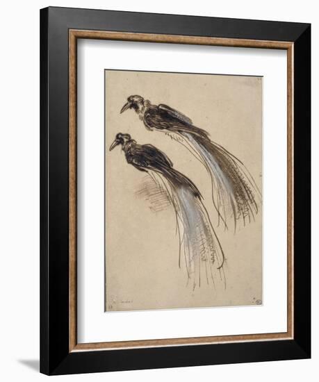 Deux études pour un oiseau de paradis-Rembrandt van Rijn-Framed Giclee Print