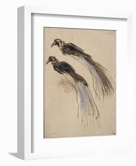 Deux études pour un oiseau de paradis-Rembrandt van Rijn-Framed Giclee Print