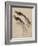 Deux études pour un oiseau de paradis-Rembrandt van Rijn-Framed Giclee Print