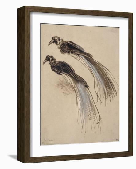 Deux études pour un oiseau de paradis-Rembrandt van Rijn-Framed Giclee Print