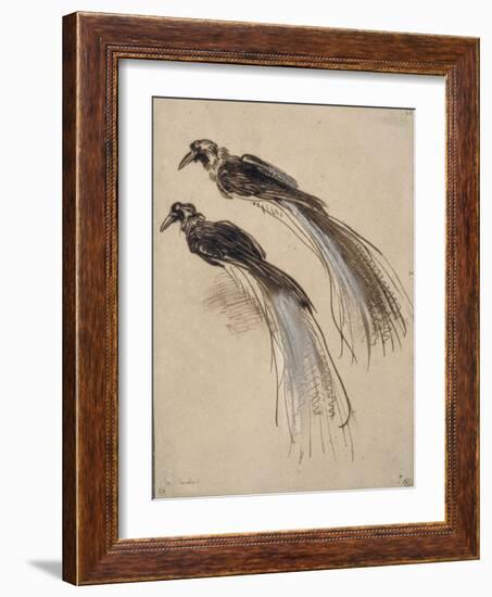 Deux études pour un oiseau de paradis-Rembrandt van Rijn-Framed Giclee Print