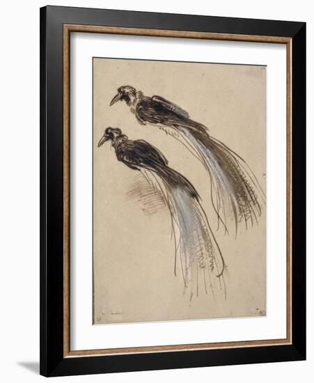 Deux études pour un oiseau de paradis-Rembrandt van Rijn-Framed Giclee Print