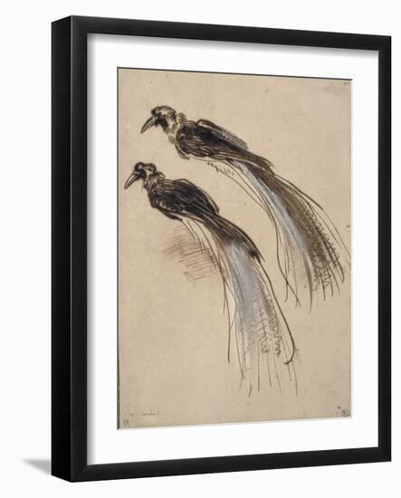 Deux études pour un oiseau de paradis-Rembrandt van Rijn-Framed Giclee Print