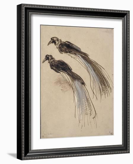 Deux études pour un oiseau de paradis-Rembrandt van Rijn-Framed Giclee Print