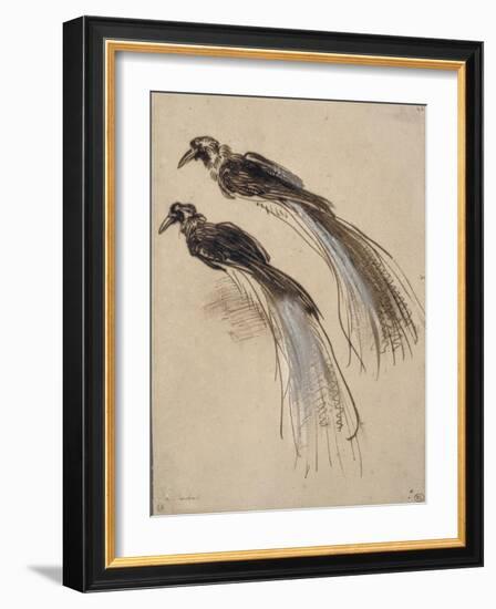 Deux études pour un oiseau de paradis-Rembrandt van Rijn-Framed Giclee Print