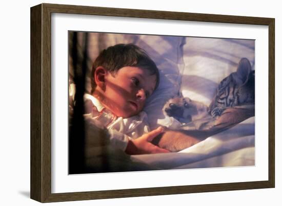 Deux Freres Two Brothers De Jeanjacquesannaud Avec Freddie Highmore, Le Petit Tigre Sangha, 2004-null-Framed Photo