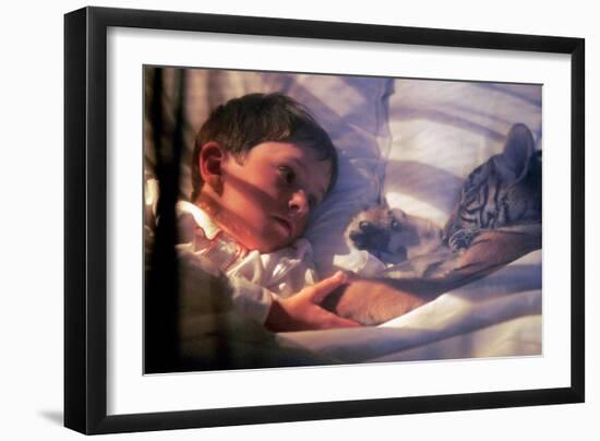 Deux Freres Two Brothers De Jeanjacquesannaud Avec Freddie Highmore, Le Petit Tigre Sangha, 2004-null-Framed Photo
