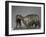 Deux lamas-Rembrandt Bugatti-Framed Giclee Print