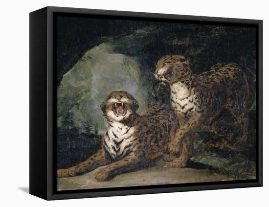 Deux Leopards-Théodore Géricault-Framed Premier Image Canvas