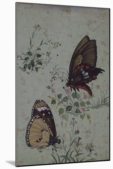 Deux papillons parmi les fleurs-null-Mounted Giclee Print