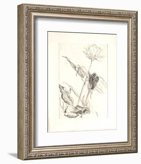 Deux roses-Avigdor Arikha-Framed Collectable Print