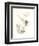 Deux roses-Avigdor Arikha-Framed Collectable Print