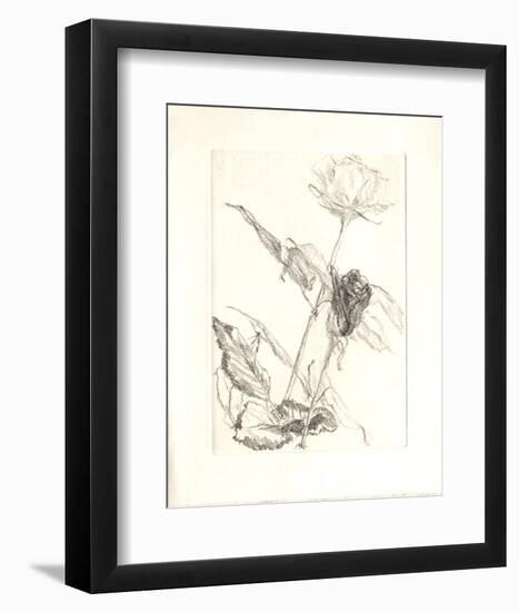 Deux roses-Avigdor Arikha-Framed Collectable Print