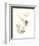 Deux roses-Avigdor Arikha-Framed Collectable Print