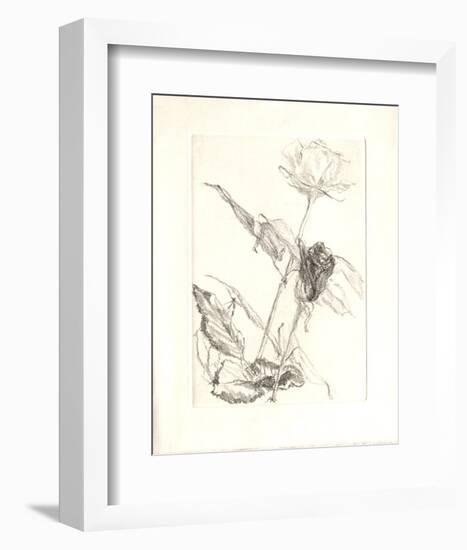 Deux roses-Avigdor Arikha-Framed Collectable Print